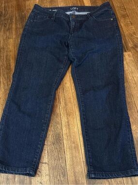 LOFT Women’s Dark Indigo Relaxed Jeans